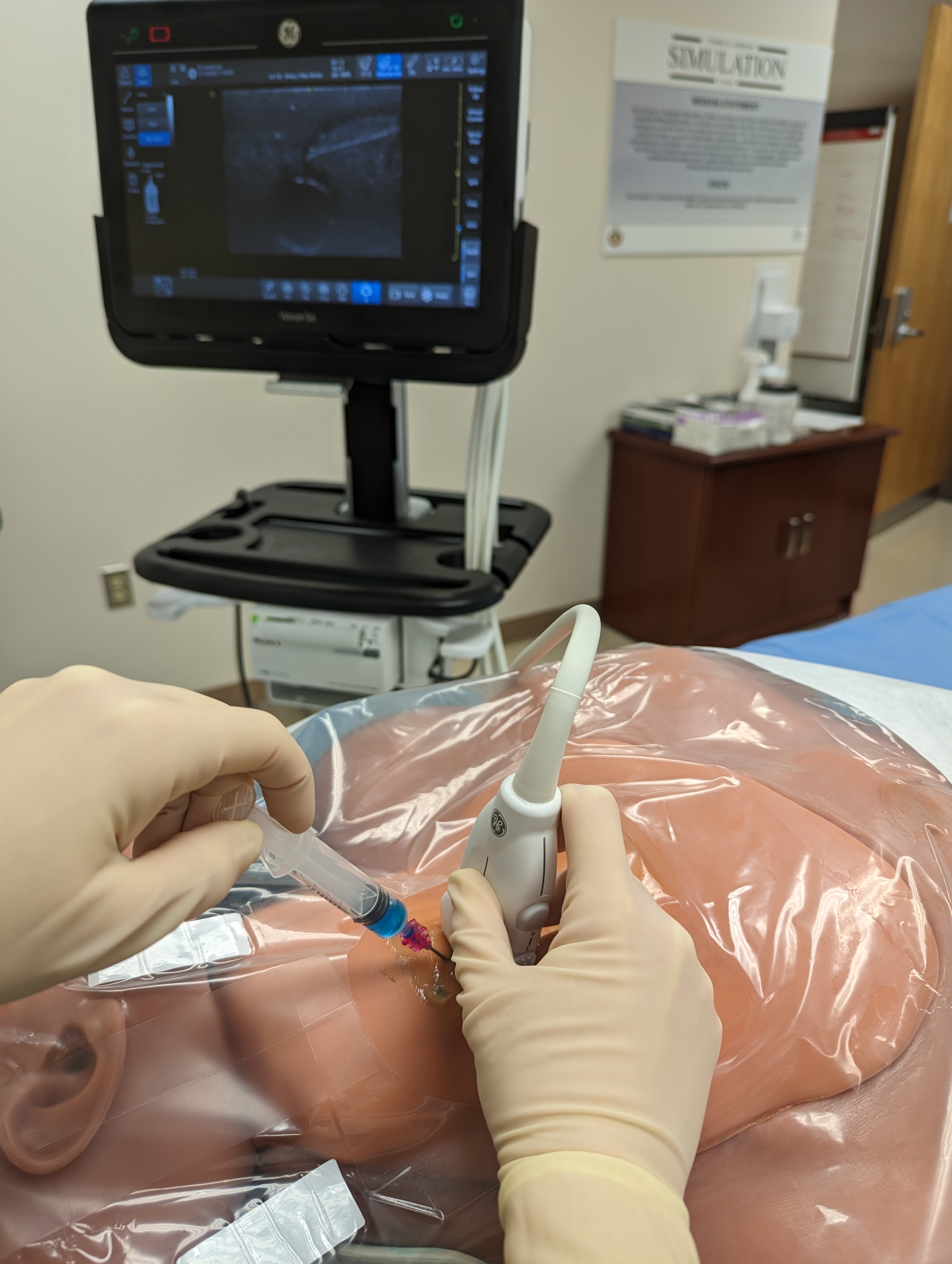 Turning Pulmonary Fellows Into Masters of Ultrasonography